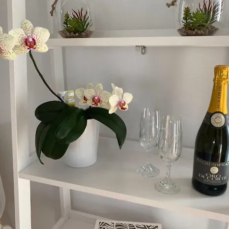 Calma Gi Apartment Naousa (Paros)